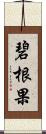 碧根果 Scroll