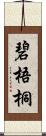 碧梧桐 Scroll