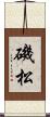 磯松 Scroll
