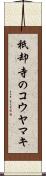 祇却寺のコウヤマキ Scroll
