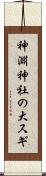 神淵神社の大スギ Scroll
