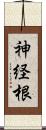 神経根 Scroll