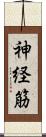 神経筋 Scroll
