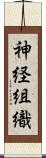 神経組織 Scroll