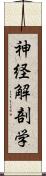 神経解剖学 Scroll