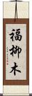 福柳木 Scroll