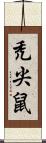 禿尖鼠 Scroll