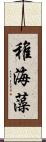 稚海藻 Scroll