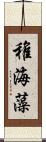 稚海藻 Scroll