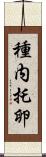 種内托卵 Scroll