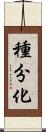 種分化 Scroll