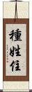 種姓住 Scroll