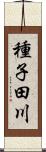 種子田川 Scroll