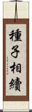 種子相續 Scroll