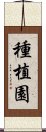 種植園 Scroll