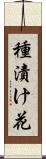 種漬け花 Scroll