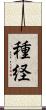 種経 Scroll