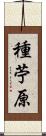 種苧原 Scroll