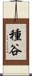 種谷 Scroll