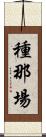 種那場 Scroll
