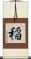 稲 Scroll