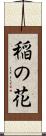 稲の花 Scroll