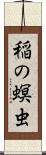稲の螟虫 Scroll