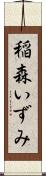 稲森いずみ Scroll