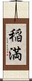 稲満 Scroll