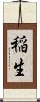 稲生 Scroll