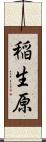 稲生原 Scroll