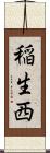 稲生西 Scroll