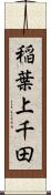 稲葉上千田 Scroll