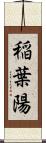 稲葉陽 Scroll