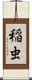 稲虫 Scroll