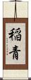 稲青 Scroll