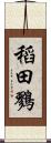 稻田鷚 Scroll