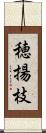 穂揚枝 Scroll