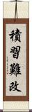 積習難改 Scroll