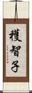 穫智子 Scroll