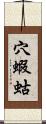 穴蝦蛄 Scroll