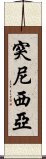 突尼西亞 Scroll