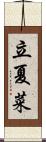 立夏菜 Scroll