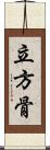立方骨 Scroll
