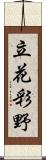 立花彩野 Scroll