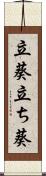 立葵 Scroll