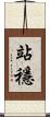 站穩 Scroll