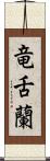 竜舌蘭 Scroll