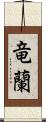 竜蘭 Scroll