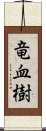 竜血樹 Scroll